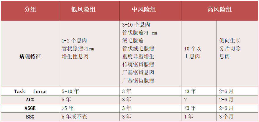 盲肠 快懂百科