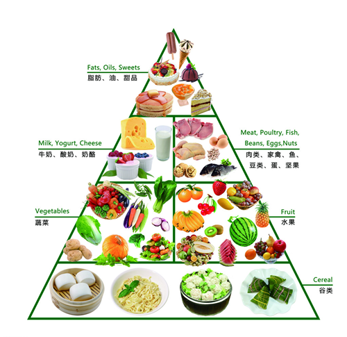 膳食宝塔
