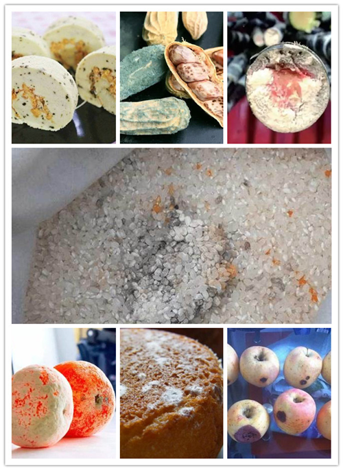发霉的米,面,花生,蔬菜等食物中含有致癌的黄曲霉素,一旦发现,应弃之