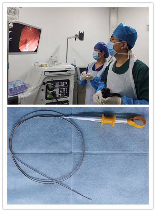 活检对于胃肠镜检查的意义