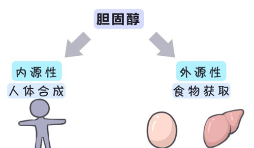 高胆固醇血症与冠心病之间的一步之遥