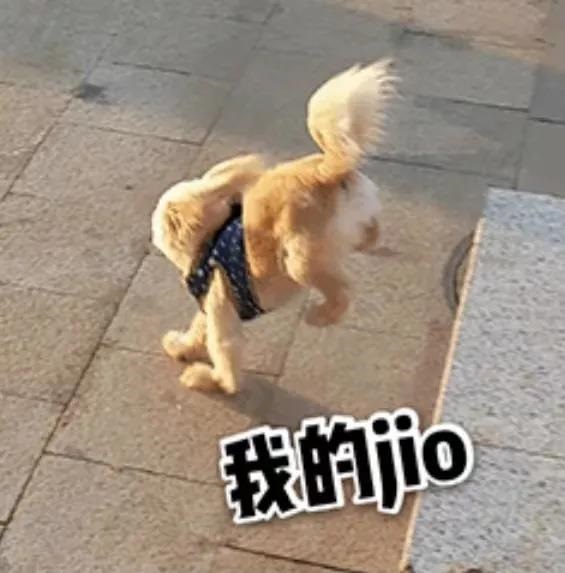 注意 小崴脚 可能会带来 大麻烦 最新快讯 资讯动态 阜外华中心血管病医院