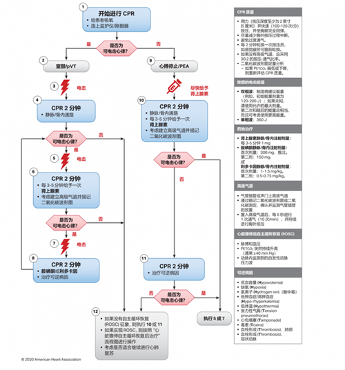 一文读懂 心肺复苏指南10大更新要点 学科动态 护理园地 阜外华中心血管病医院