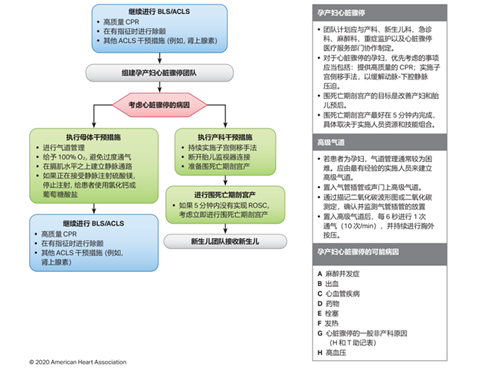 一文读懂 心肺复苏指南10大更新要点 学科动态 护理园地 阜外华中心血管病医院 一文读懂 心肺复苏指南10大更新要点 学科动态 护理园地 阜外华中心血管病医院