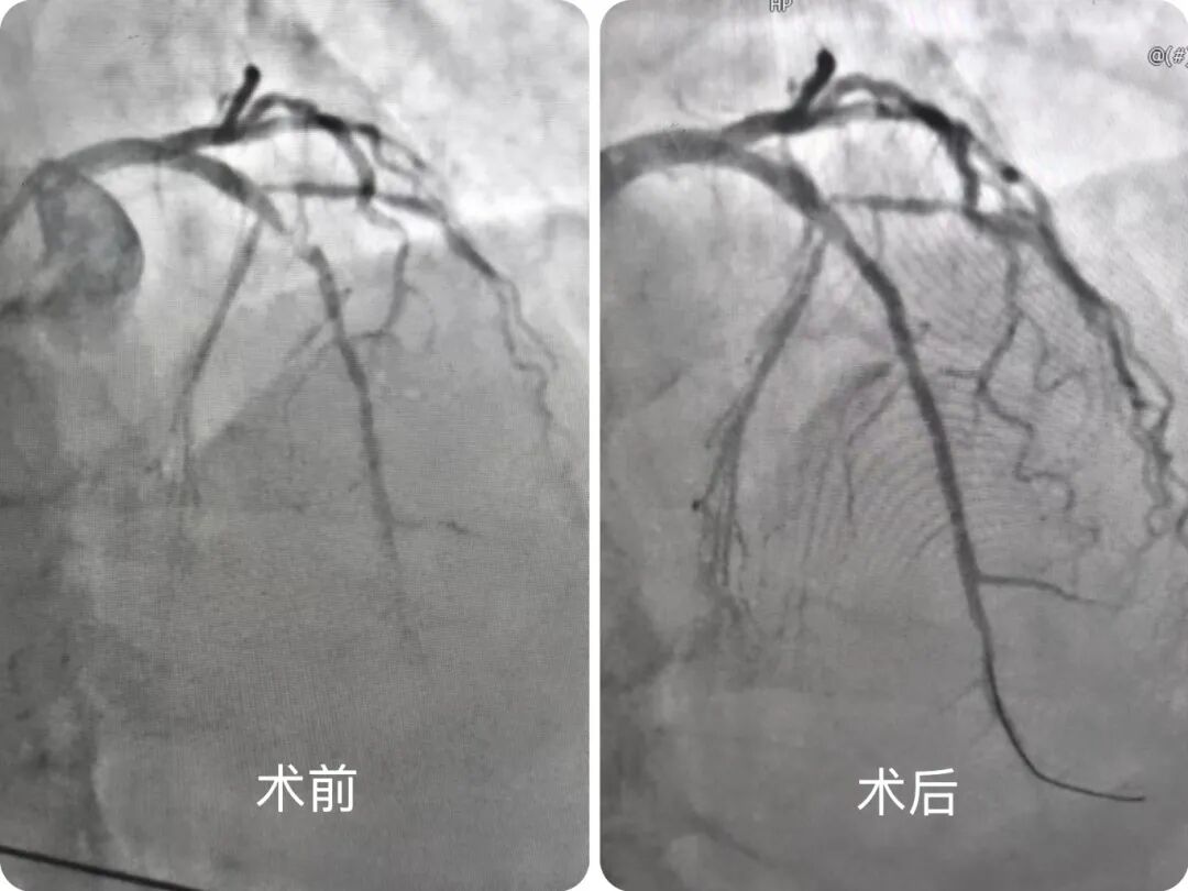 3561ff7e952d304aa077219cc91c7eb1.jpg