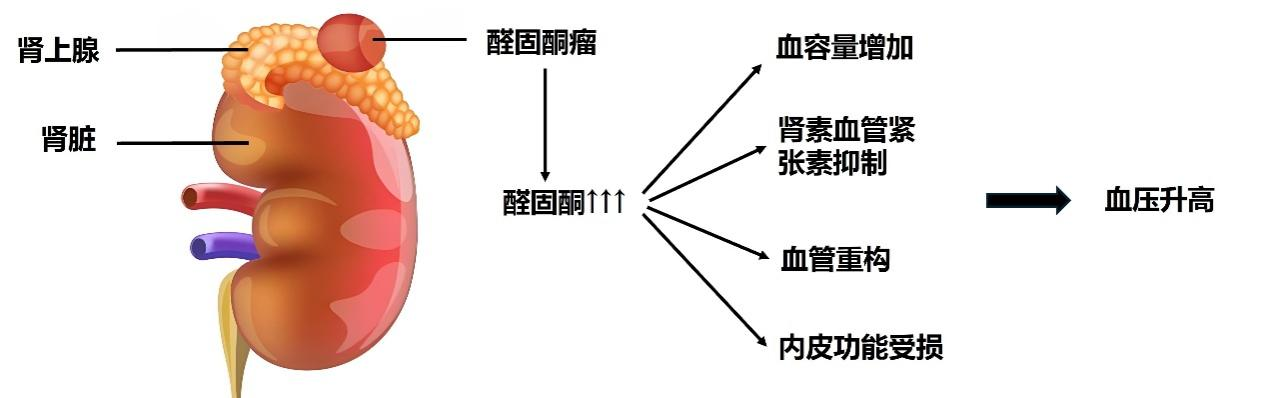 1749174133881177.png