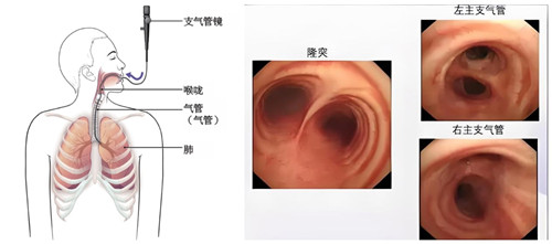 1761291590943765.jpg 1761290924268449.jpg