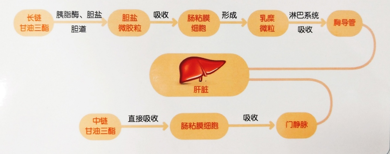 1764898317659494.png 1764898317659494.png