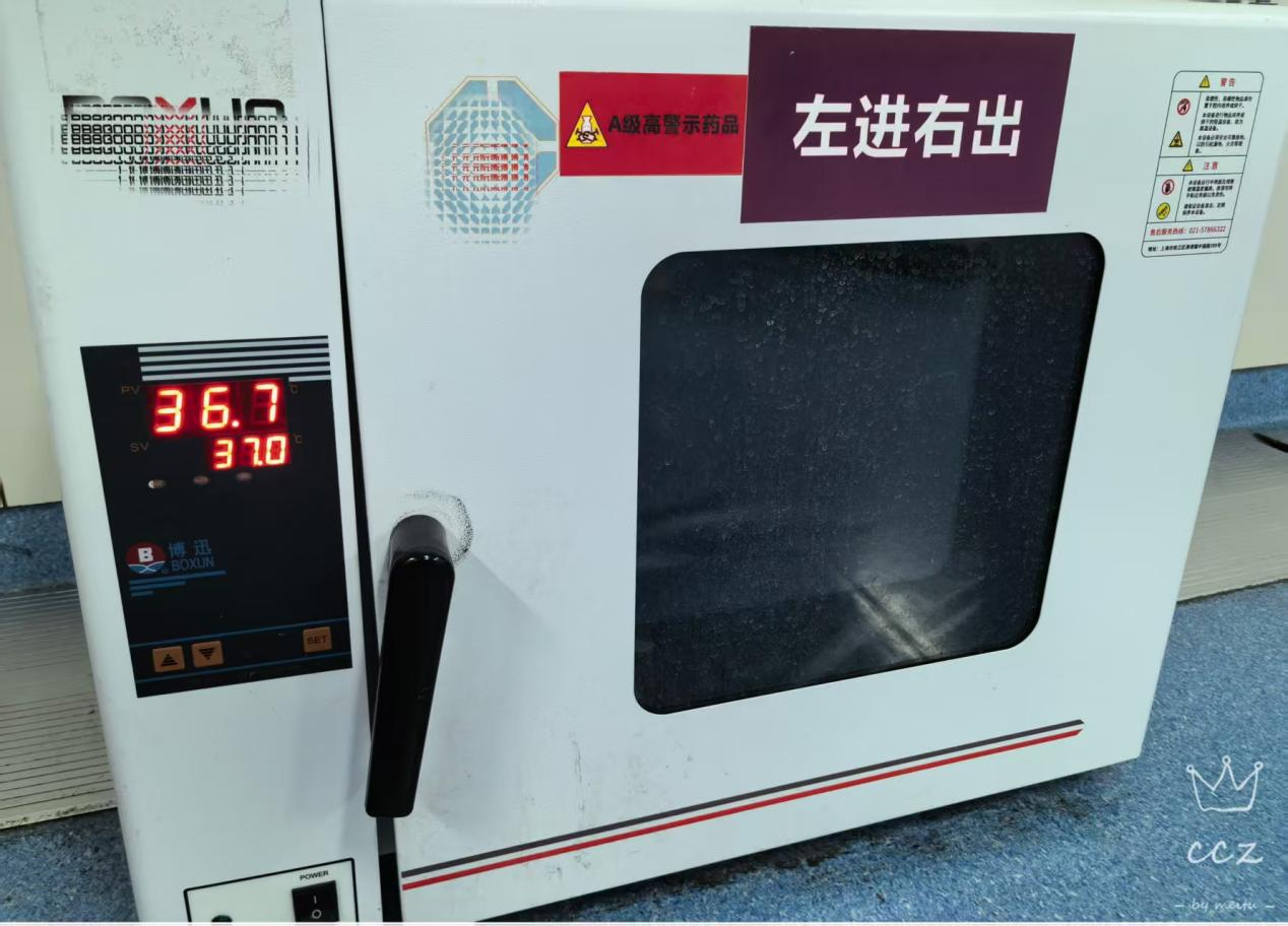 1766364915282280.png 1766364915282280.png