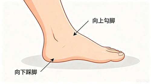 1787880252704818.png 图片3.png